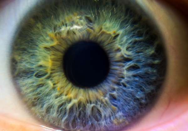 Retinal Eye Tracking Technology Can Predict Neurological Health